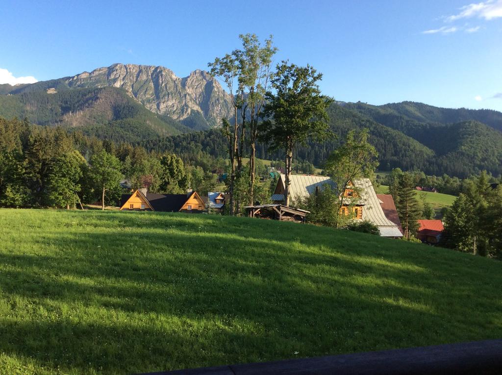 Apolonia Willa Zakopane Exteriör bild
